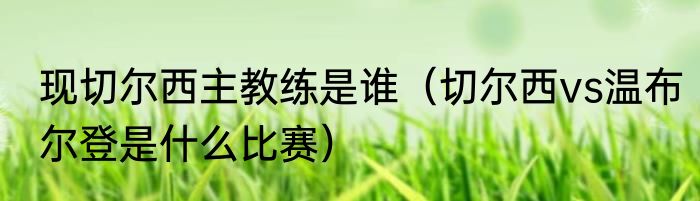 现切尔西主教练是谁（切尔西vs温布尔登是什么比赛）