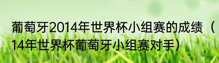葡萄牙2014年世界杯小组赛的成绩（14年世界杯葡萄牙小组赛对手）