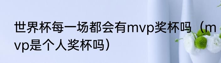 世界杯每一场都会有mvp奖杯吗（mvp是个人奖杯吗）