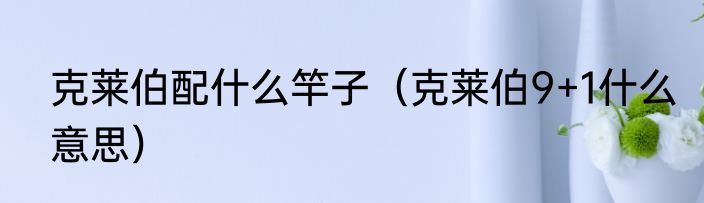 克莱伯配什么竿子（克莱伯9+1什么意思）
