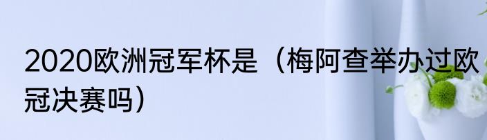 2020欧洲冠军杯是（梅阿查举办过欧冠决赛吗）