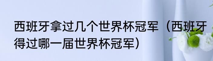 西班牙拿过几个世界杯冠军（西班牙得过哪一届世界杯冠军）