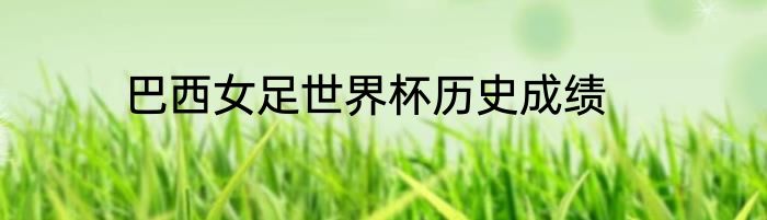 巴西女足世界杯历史成绩