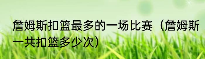 詹姆斯扣篮最多的一场比赛（詹姆斯一共扣篮多少次）