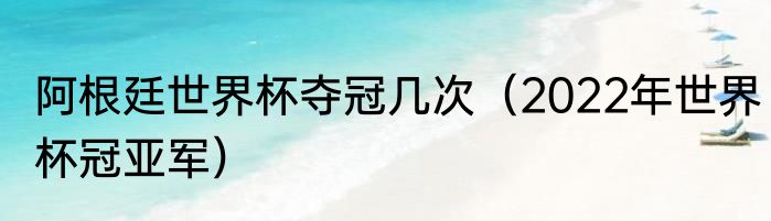 阿根廷世界杯夺冠几次（2022年世界杯冠亚军）