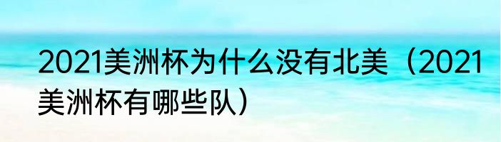 2021美洲杯为什么没有北美（2021美洲杯有哪些队）