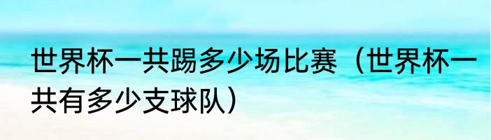 世界杯一共踢多少场比赛（世界杯一共有多少支球队）