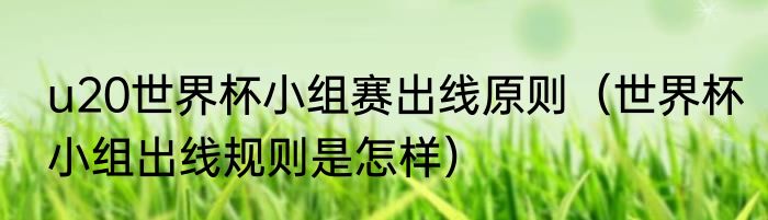 u20世界杯小组赛出线原则（世界杯小组出线规则是怎样）