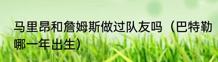 马里昂和詹姆斯做过队友吗（巴特勒哪一年出生）