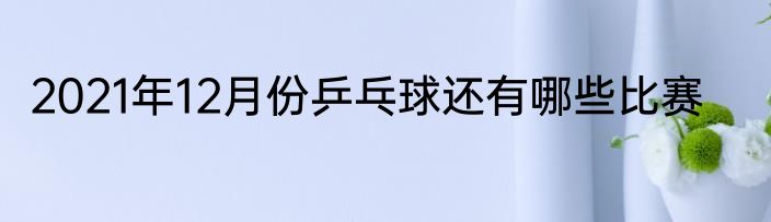 2021年12月份乒乓球还有哪些比赛