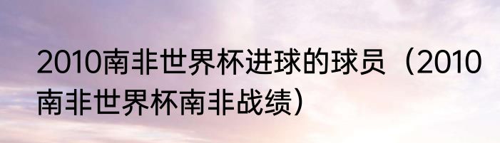 2010南非世界杯进球的球员（2010南非世界杯南非战绩）