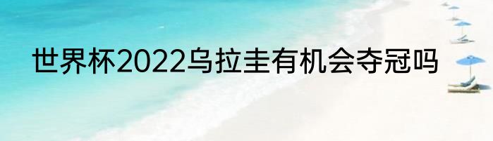 世界杯2022乌拉圭有机会夺冠吗