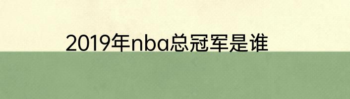 2019年nba总冠军是谁