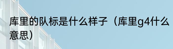 库里的队标是什么样子（库里g4什么意思）