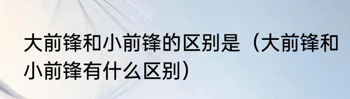 大前锋和小前锋的区别是（大前锋和小前锋有什么区别）