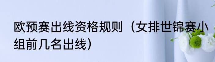 欧预赛出线资格规则（女排世锦赛小组前几名出线）