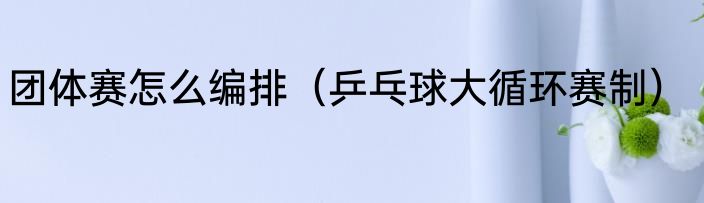 团体赛怎么编排（乒乓球大循环赛制）