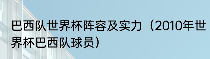 巴西队世界杯阵容及实力（2010年世界杯巴西队球员）