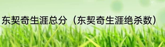 东契奇生涯总分（东契奇生涯绝杀数）