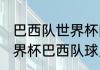 巴西队世界杯阵容及实力（2010年世界杯巴西队球员）