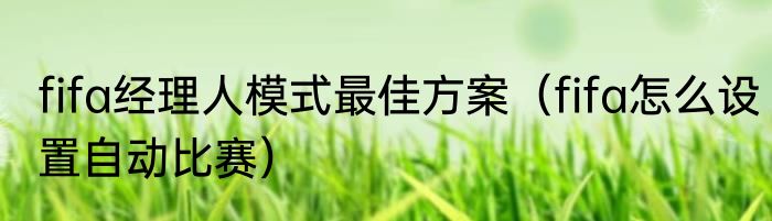 fifa经理人模式最佳方案（fifa怎么设置自动比赛）