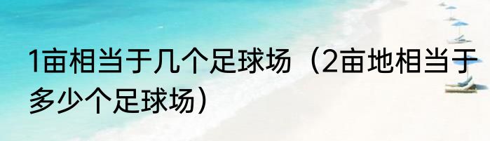 1亩相当于几个足球场（2亩地相当于多少个足球场）