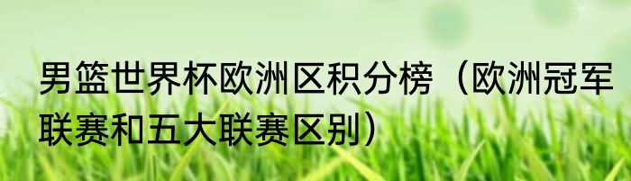 男篮世界杯欧洲区积分榜（欧洲冠军联赛和五大联赛区别）