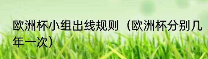 欧洲杯小组出线规则（欧洲杯分别几年一次）