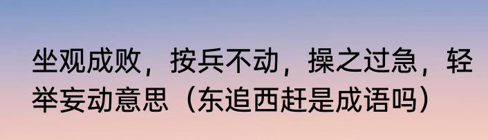 坐观成败，按兵不动，操之过急，轻举妄动意思（东追西赶是成语吗）