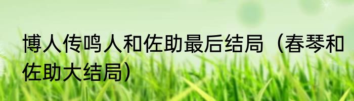 博人传鸣人和佐助最后结局（春琴和佐助大结局）