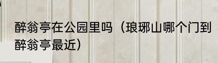 醉翁亭在公园里吗（琅琊山哪个门到醉翁亭最近）