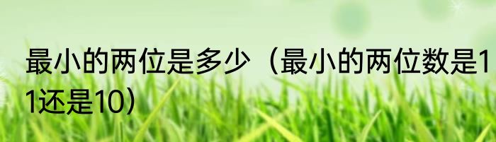 最小的两位是多少（最小的两位数是11还是10）