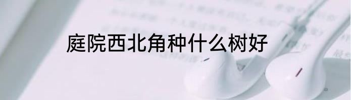 庭院西北角种什么树好