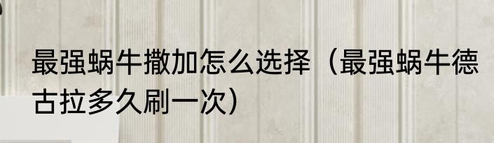 最强蜗牛撒加怎么选择（最强蜗牛德古拉多久刷一次）