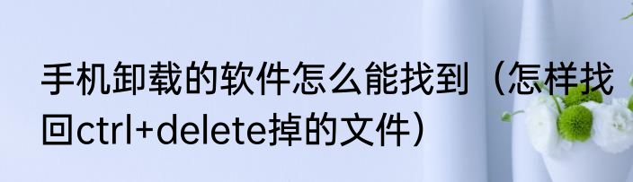 手机卸载的软件怎么能找到（怎样找回ctrl+delete掉的文件）