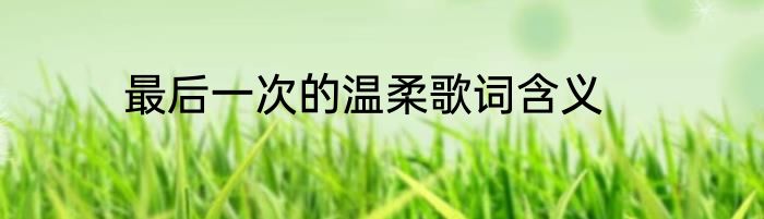 最后一次的温柔歌词含义