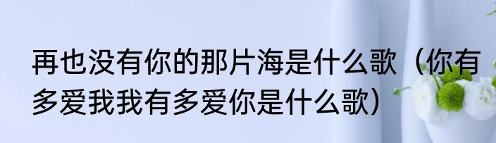 再也没有你的那片海是什么歌（你有多爱我我有多爱你是什么歌）