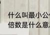 什么叫最小公倍数举例说明（最小公倍数是什么意思，有什么用）