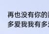 再也没有你的那片海是什么歌（你有多爱我我有多爱你是什么歌）