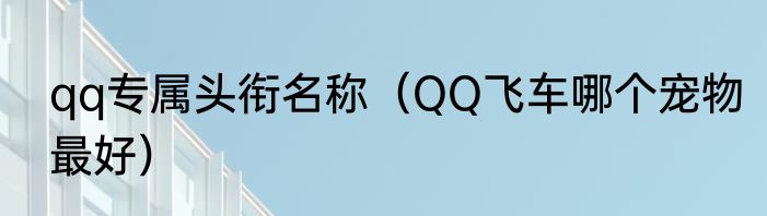 qq专属头衔名称（QQ飞车哪个宠物最好）