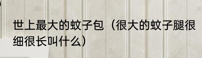 世上最大的蚊子包（很大的蚊子腿很细很长叫什么）