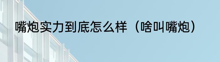 嘴炮实力到底怎么样（啥叫嘴炮）