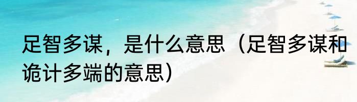 足智多谋，是什么意思（足智多谋和诡计多端的意思）
