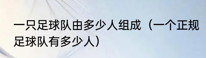 一只足球队由多少人组成（一个正规足球队有多少人）