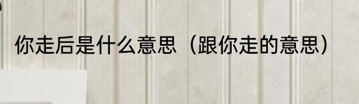 你走后是什么意思（跟你走的意思）