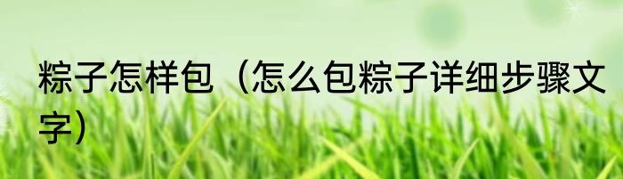 粽子怎样包（怎么包粽子详细步骤文字）
