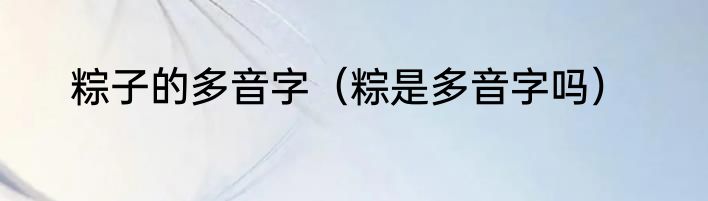粽子的多音字（粽是多音字吗）