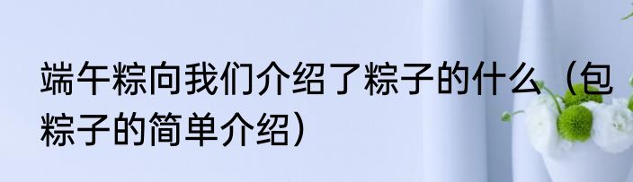 端午粽向我们介绍了粽子的什么（包粽子的简单介绍）