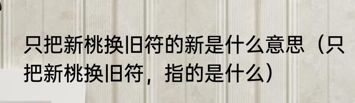 只把新桃换旧符的新是什么意思（只把新桃换旧符，指的是什么）