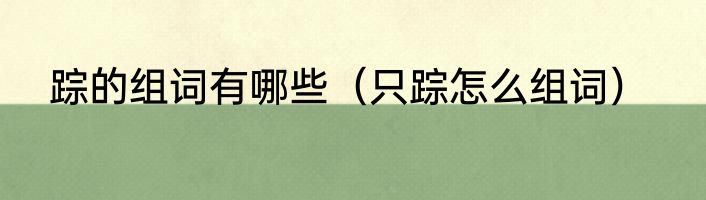 踪的组词有哪些（只踪怎么组词）